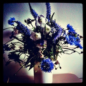 Bleubottle bouquet