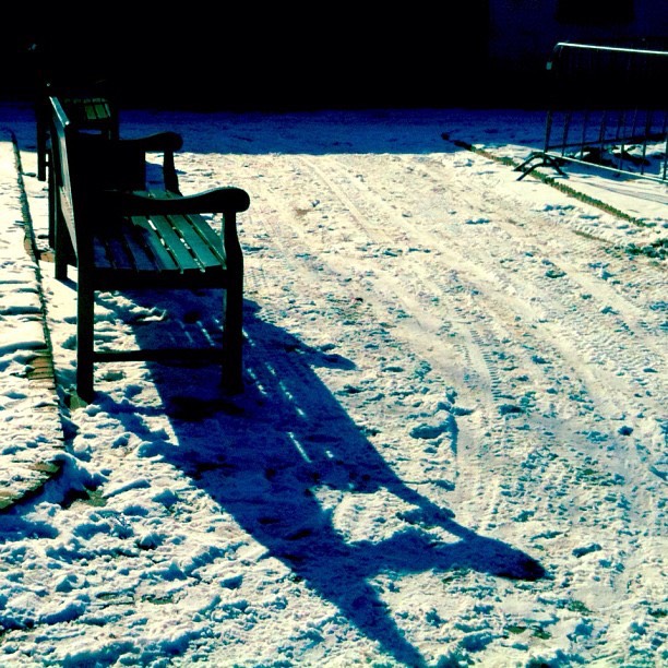 shadow winter